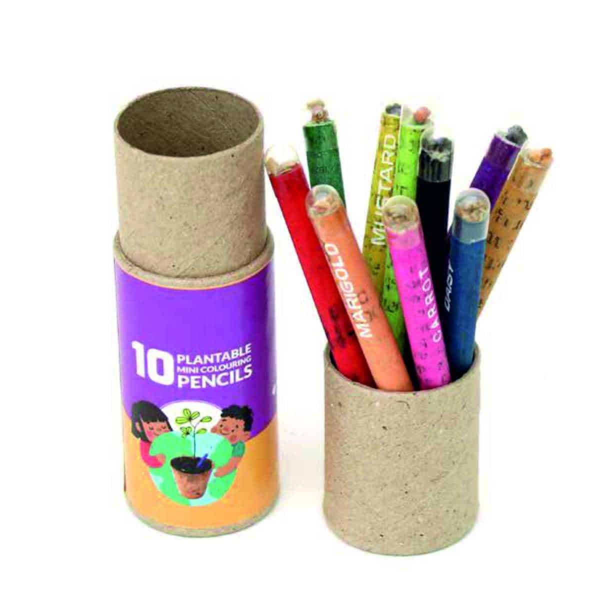 Plantable Coloring Mini Seed Pencils | Set of 10