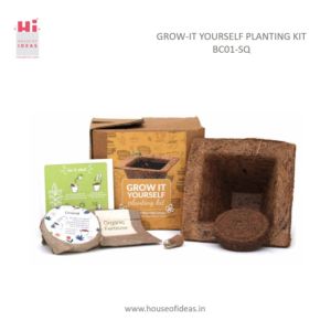 GROW- IT YOURSELF PLANTING KIT |Gift Box for Nature Lovers | Throw and Grow |  BC01-SQ