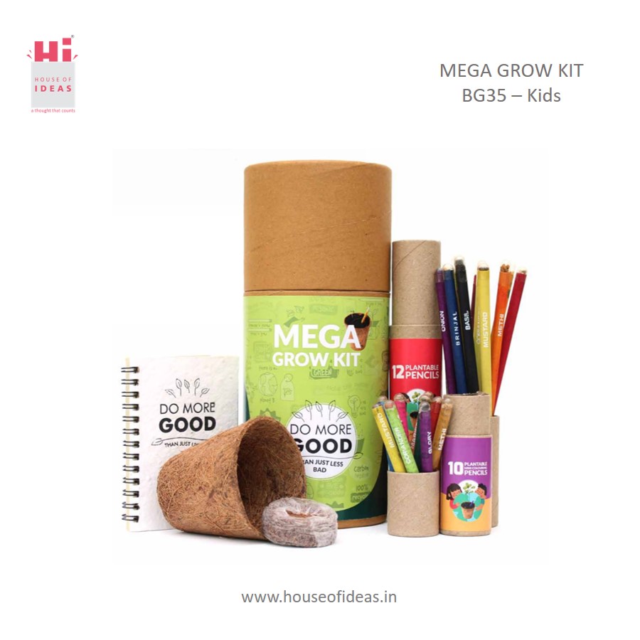 MEGA GROW KIT |Gift Box for Kids | Throw and Grow |  BG35 – K