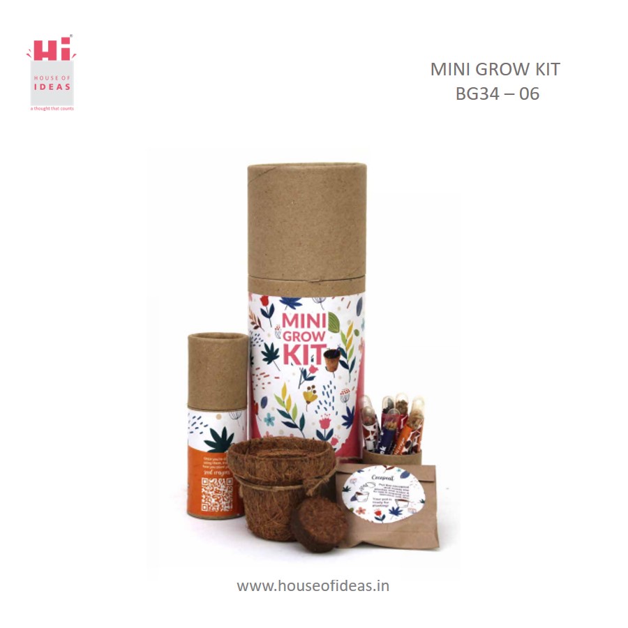 MINI POT GIFT BOX |Gift Box for Nature Lovers | Throw and Grow |  BG36
